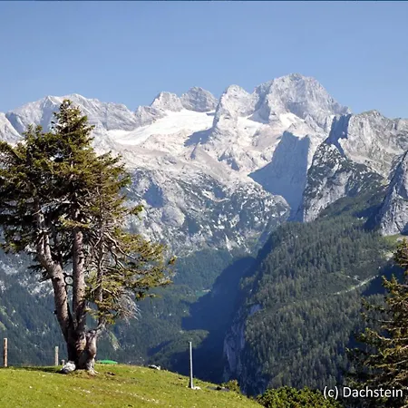 Holiday Edelweiss بيت للعطل أنابيرغ ام لاميرتا